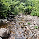 Review photo of Gale River Loop Road by Jay B., June 7, 2026