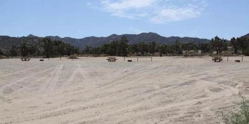 Camper submitted image from Black Rock Equestrian Campground — Joshua Tree National Park
