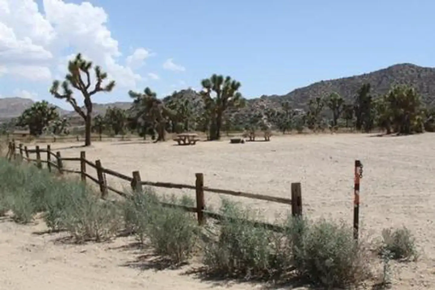 Camper-submitted photo at Black Rock Equestrian Campground — Joshua Tree National Park near Yucca Valley, CA