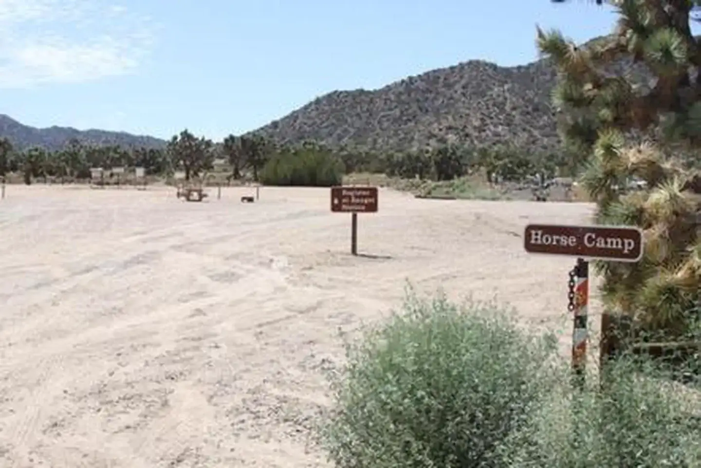 Camper-submitted photo at Black Rock Equestrian Campground — Joshua Tree National Park near Yucca Valley, CA