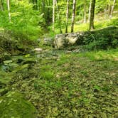 Review photo of Kentuck Campground — Ohiopyle State Park by N A., June 8, 2026