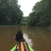 Review photo of Beech Bend Park by Shelly S., September 30, 2016
