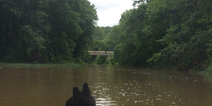 Camper submitted image from Beech Bend Park