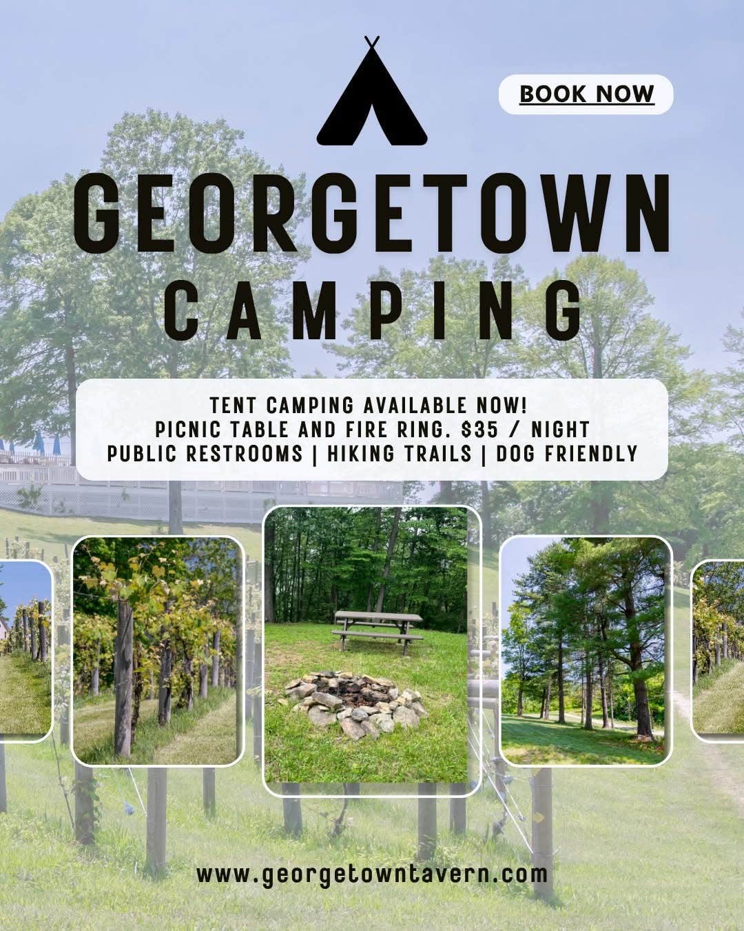 Camping near Fish Farm Camp: Georgetown Vineyards Dogwood Campsite, Cambridge, Ohio