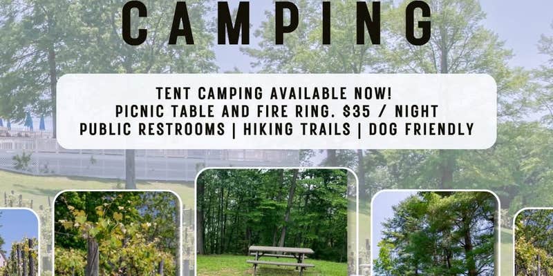 Camper submitted image from Georgetown Vineyards Dogwood Campsite