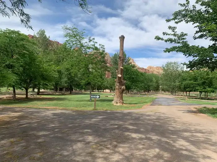Camper-submitted photo at Fruita Campground — Capitol Reef National Park in Utah