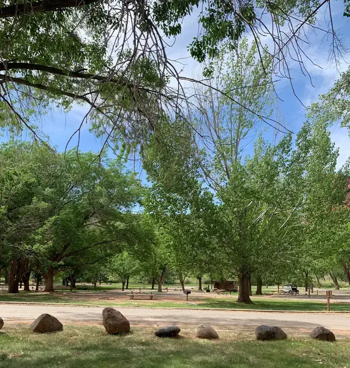 Camper-submitted photo at Fruita Campground — Capitol Reef National Park in Utah