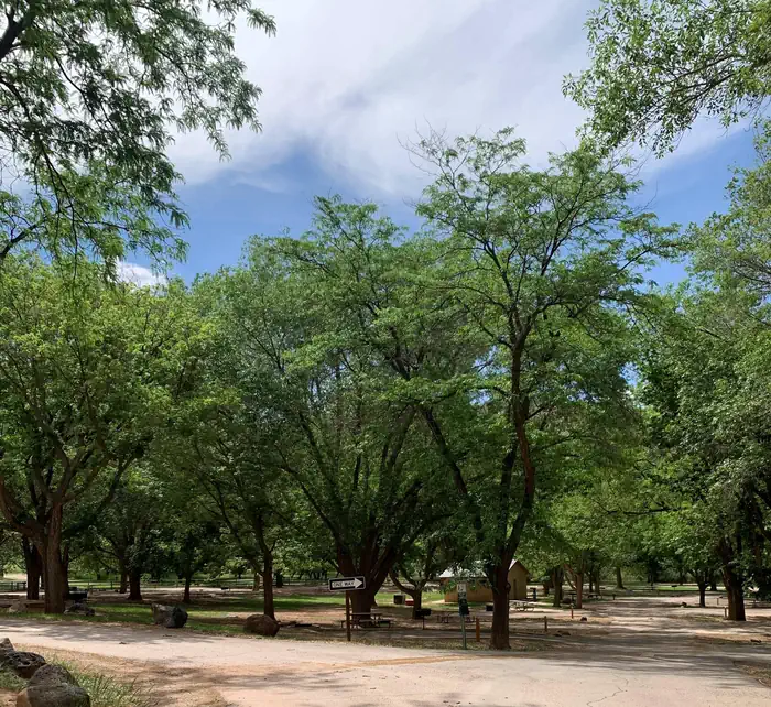 Camper-submitted photo at Fruita Campground — Capitol Reef National Park in Utah