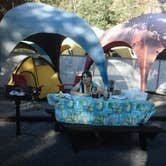 Review photo of Sun Outdoors Arches Gateway by Molly G., September 15, 2016