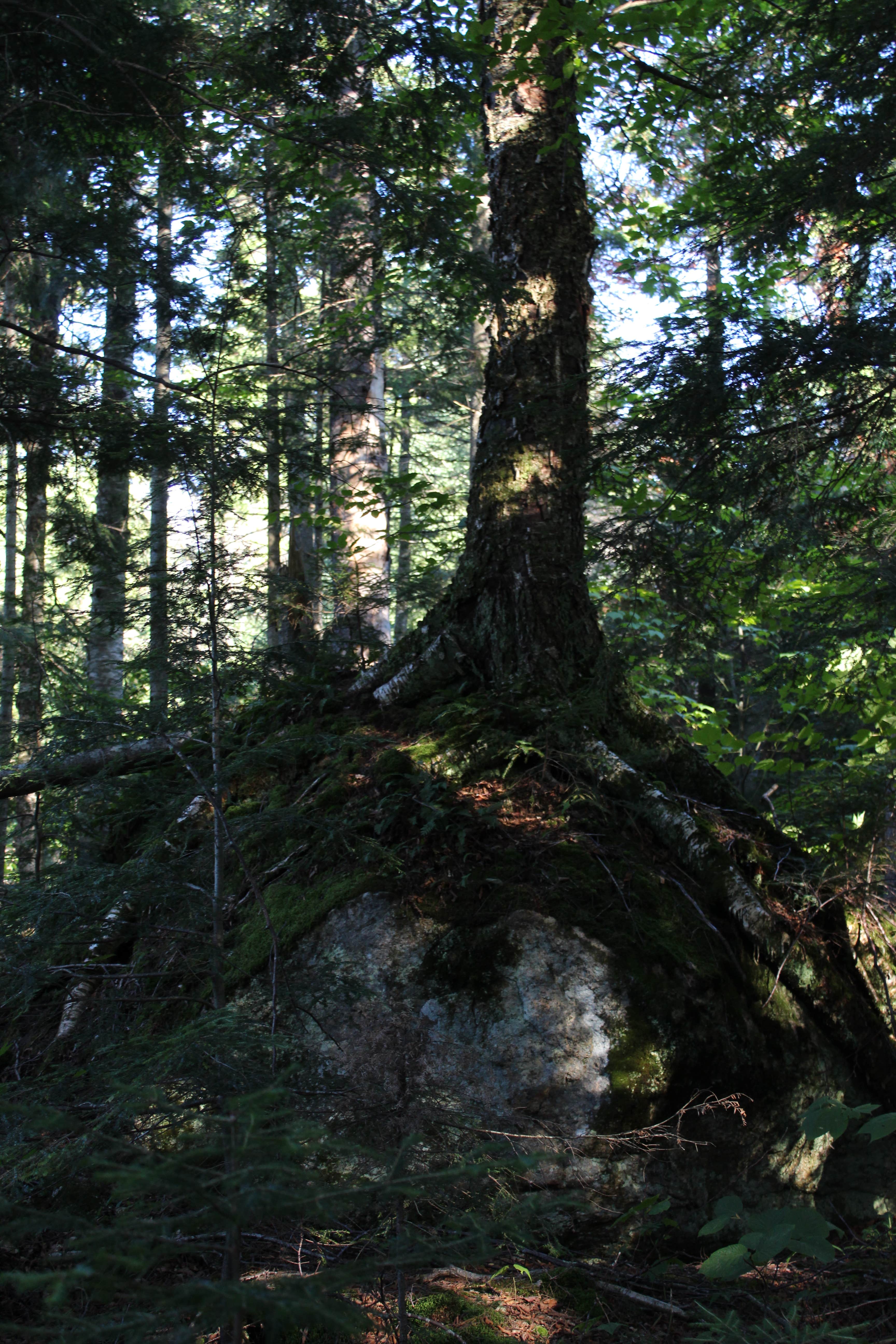 Camping near Lake Placid/Whiteface Mountain KOA Holiday: Copperas Pond, Lake Placid, New York