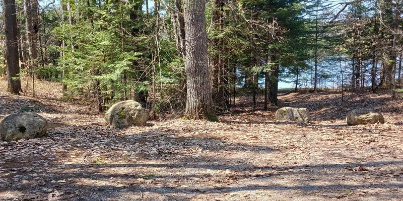 Camper submitted image from Little Bass Lake Campsites — Hiawatha National Forest
