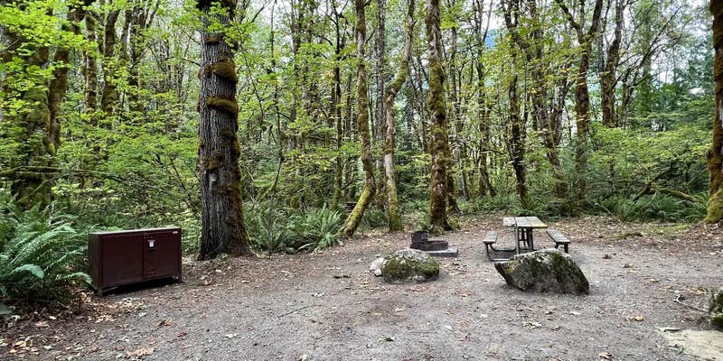 Camper submitted image from Goodell Creek Campground — North Cascades National Park