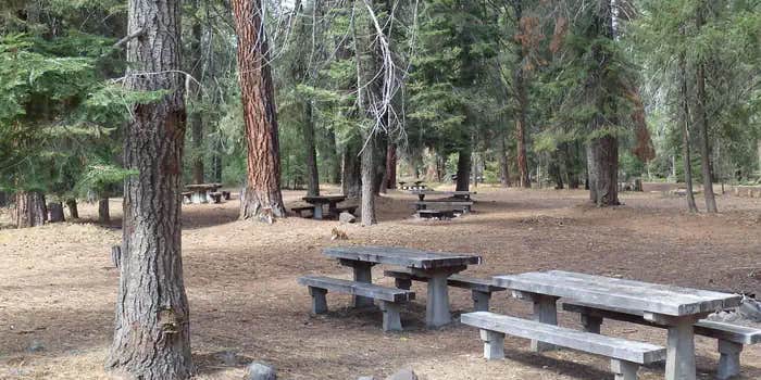 Camper submitted image from Kaner Flat Group Site — Okanogan Wenatchee National Forest