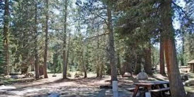 Camper submitted image from (Lake Alpine) Silver Tip Campground — Stanislaus National Forest