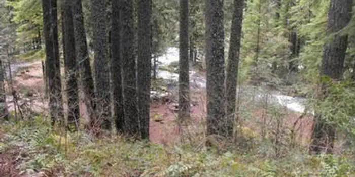 Camper submitted image from Olallie Campground