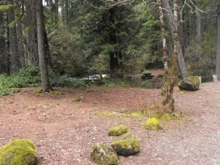 Camper-submitted photo at Olallie Campground near Willamette National Forest