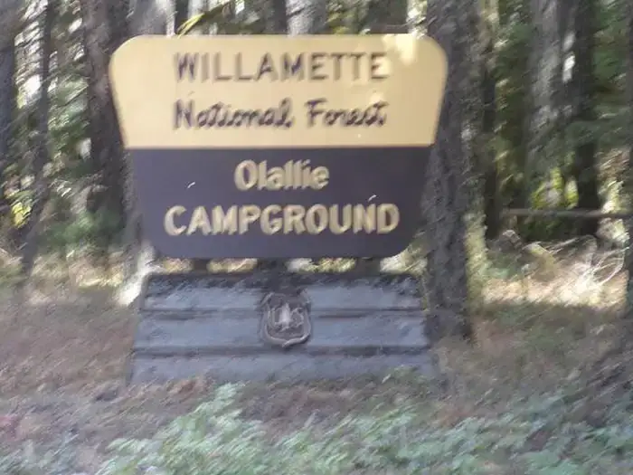 Camper-submitted photo at Olallie Campground near Willamette National Forest