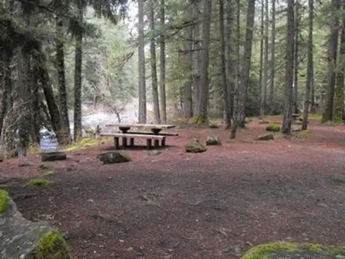 Camper-submitted photo at Olallie Campground near Willamette National Forest