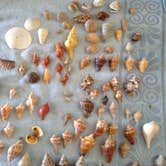 Review photo of Cayo Costa State Park Campground by Dave V., September 30, 2016