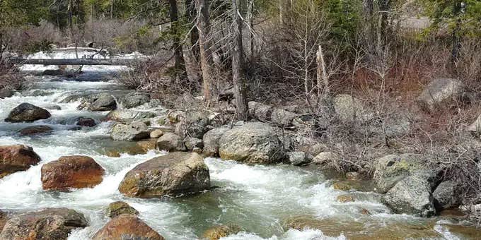 Camper submitted image from Tahoe National Forest Salmon Creek Campground