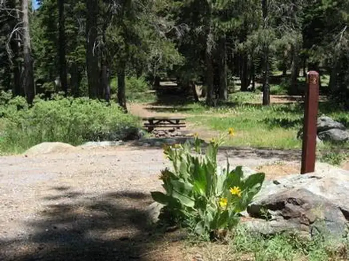 Camper-submitted photo at Tahoe National Forest Salmon Creek Campground near Downieville, CA