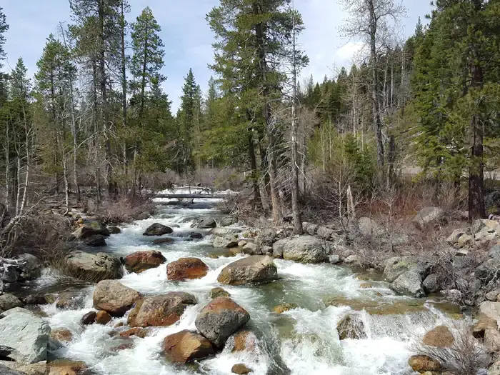 Camper-submitted photo at Tahoe National Forest Salmon Creek Campground near Downieville, CA