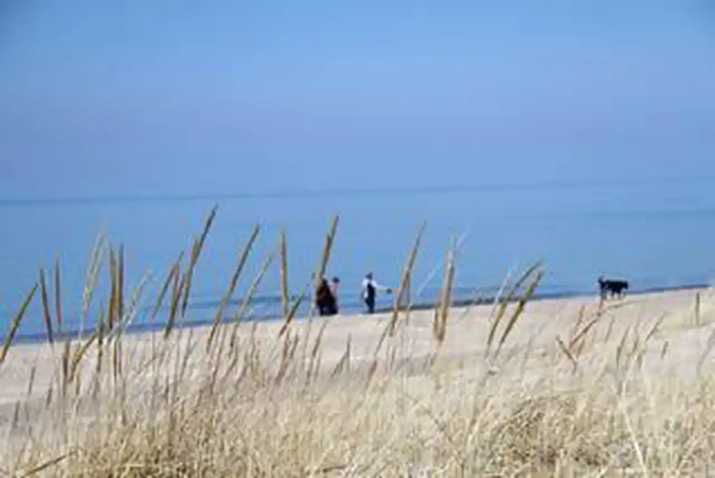 Camper-submitted photo at Dunewood Campground — Indiana Dunes National Park in Indiana