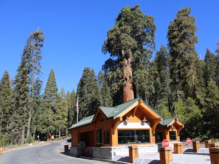 Camper-submitted photo at Sheep Creek Campground — Kings Canyon National Park near Sequoia and Kings Canyon National Parks