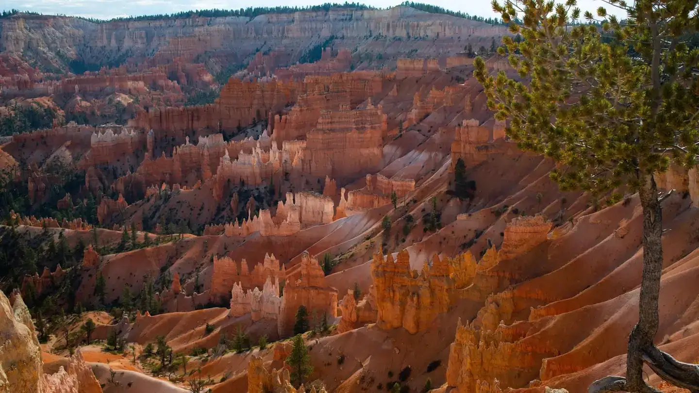 Camper-submitted photo at Sunset Campground — Bryce Canyon National Park near Henrieville, UT
