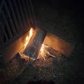 Review photo of Kitsap Memorial State Park Campground by Joanna D., June 9, 2026