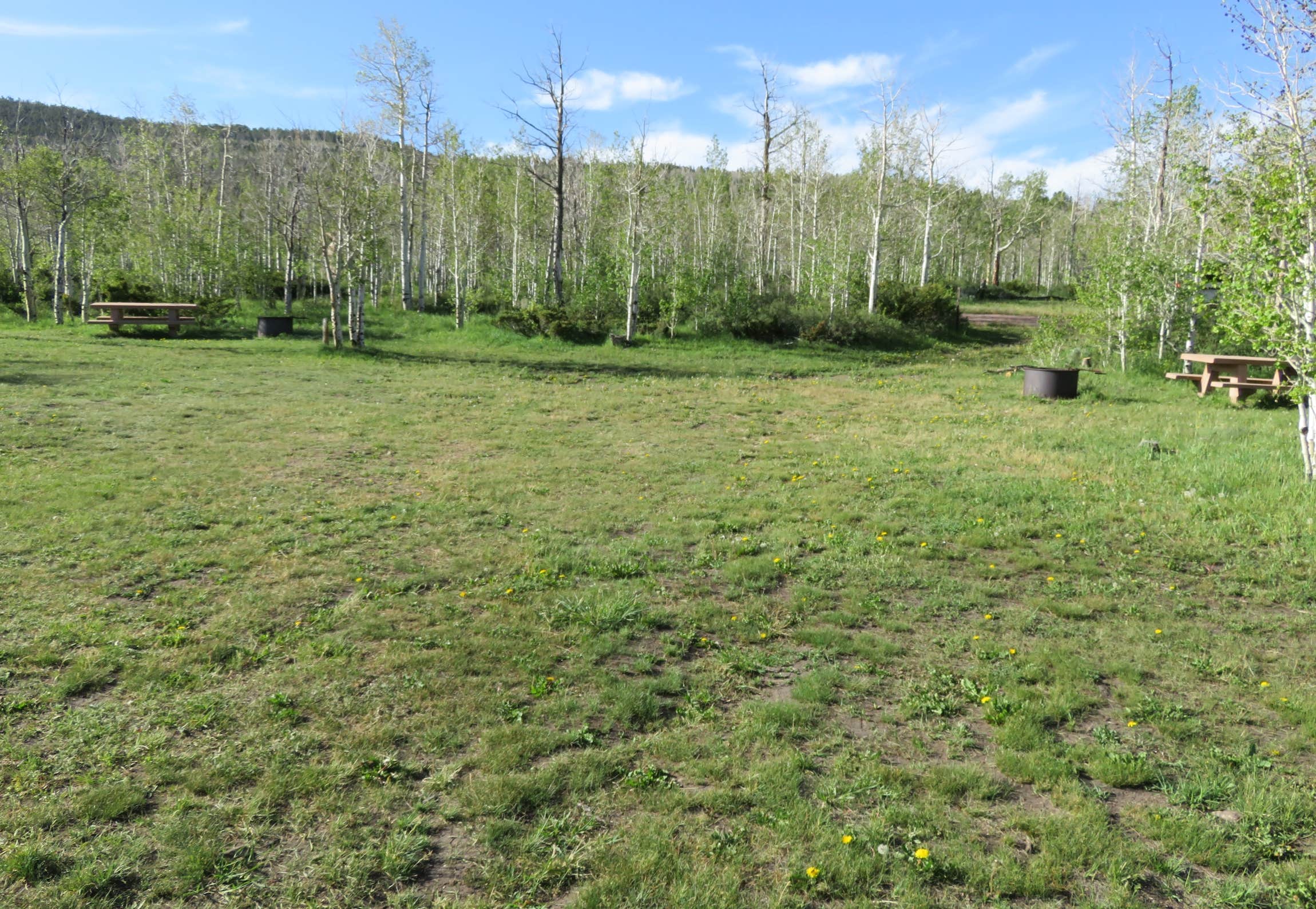 Camping near Irish Canyon Campground: BLM Rocky Reservoir Campground, Dutch John, Colorado