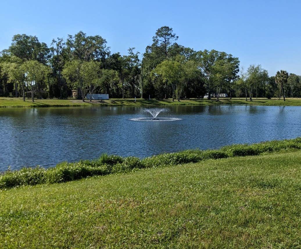 Camper-submitted photo at Palms & Pines Campground & RV Park near Valdosta, GA