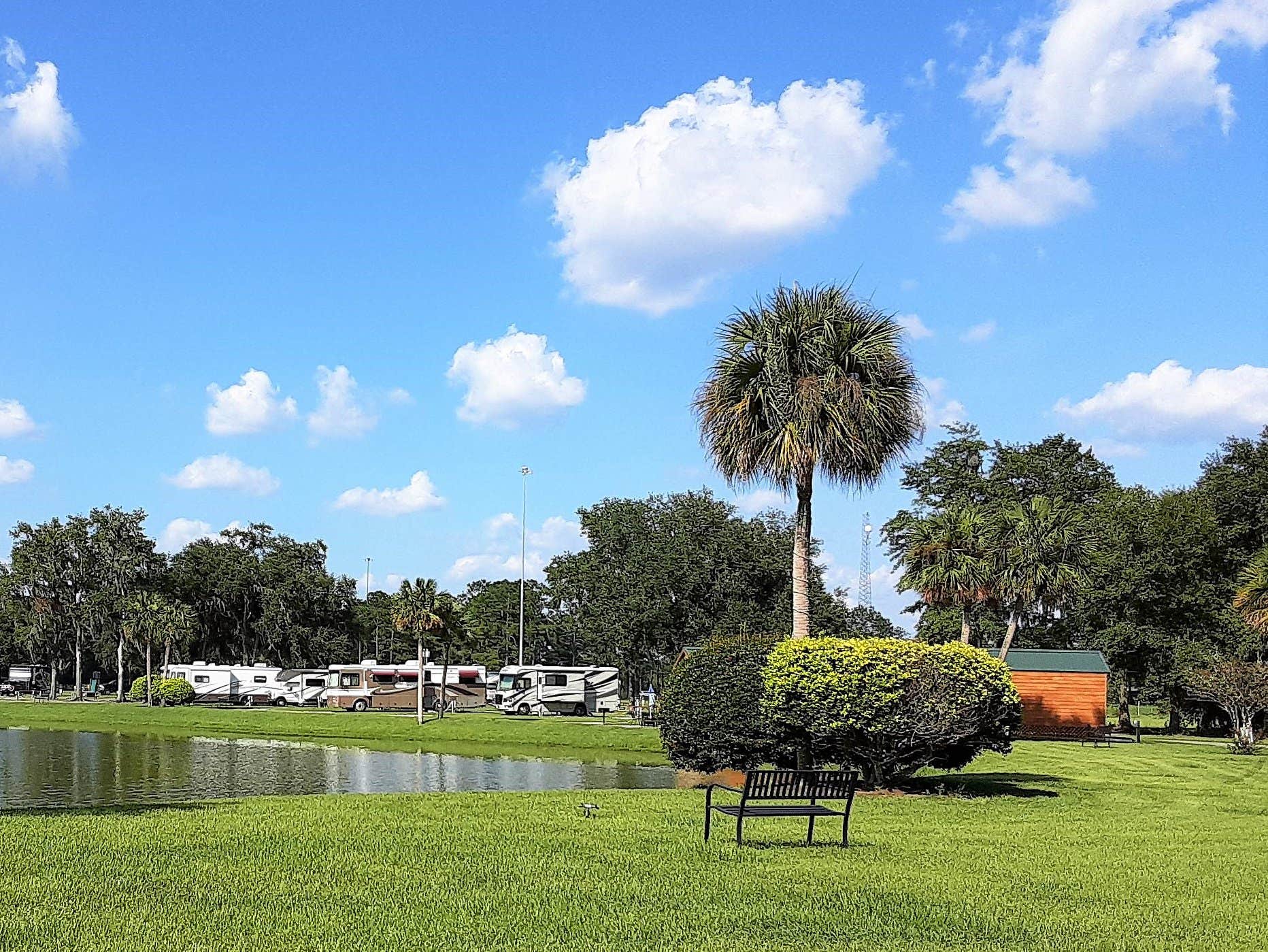 Camper-submitted photo at Palms & Pines Campground & RV Park near Valdosta, GA