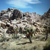 Review photo of Jumbo Rocks Campground — Joshua Tree National Park by Molly G., September 6, 2016