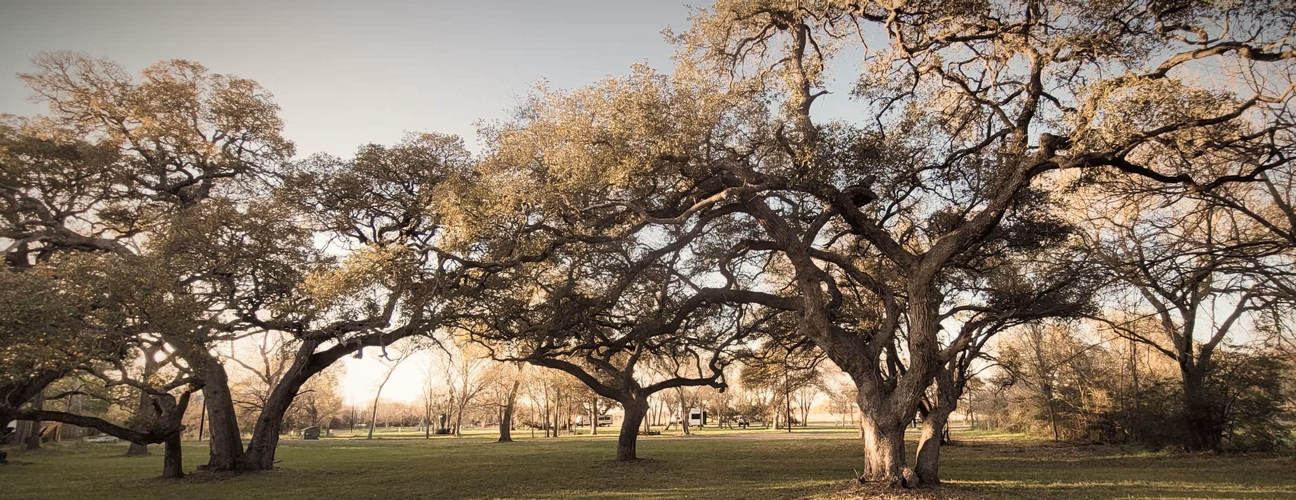 Camping near Vernon L Richards Riverbend Park: Oak Grove Park, La Grange, Texas