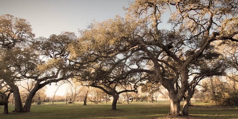 Camper submitted image from Oak Grove Park