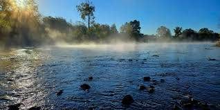 Camper submitted image from Rivercane Resort