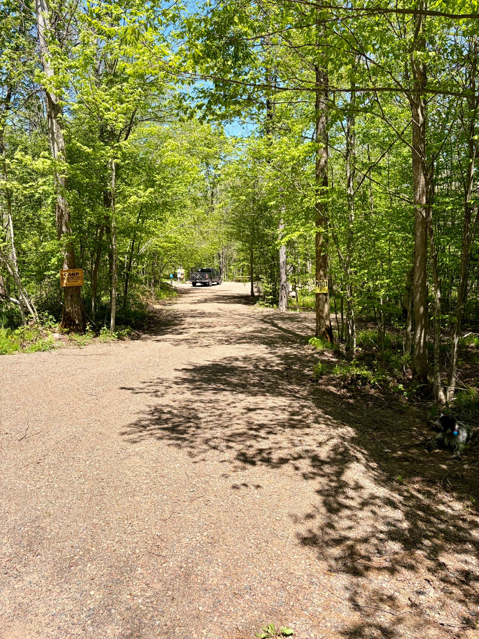 Jon K.'s photo of camping with pets at Camp Waderlust On The River near Bruce, WI
