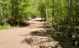 Jon K.'s photo of camping with pets at Camp Waderlust On The River near Hayward, WI