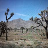 Review photo of Jumbo Rocks Campground — Joshua Tree National Park by Molly G., September 6, 2016