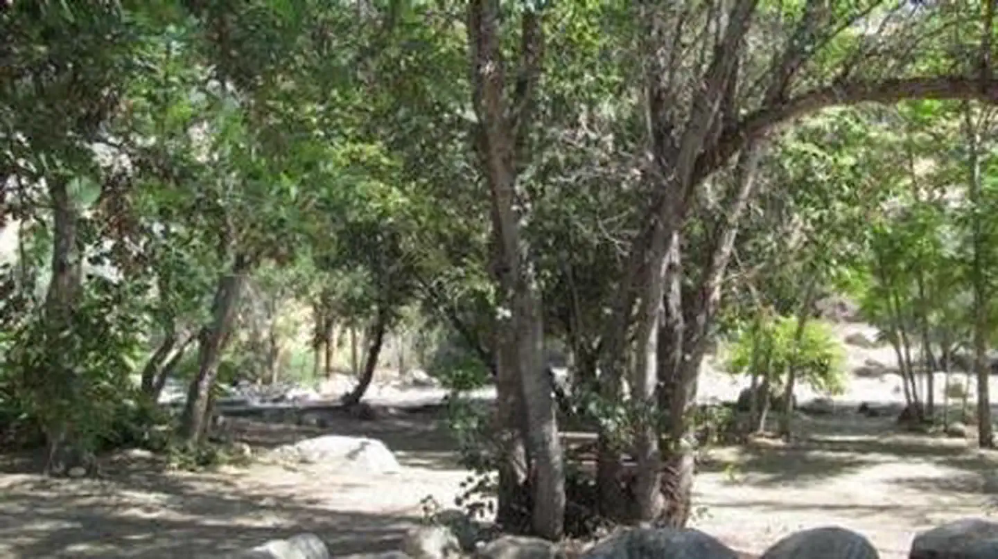 Camper-submitted photo at Headquarters Campground near Wofford Heights, CA