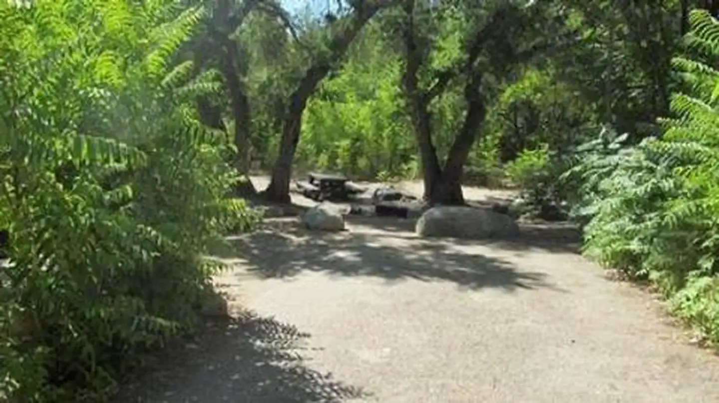 Camper-submitted photo at Headquarters Campground near Wofford Heights, CA