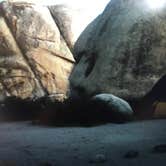 Review photo of Jumbo Rocks Campground — Joshua Tree National Park by Molly G., September 6, 2016