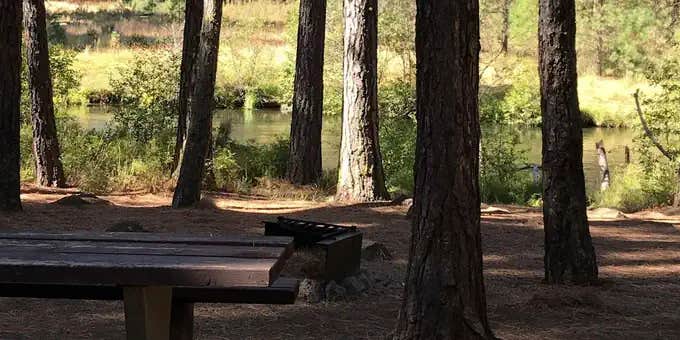 Camper submitted image from Smiling River Campground