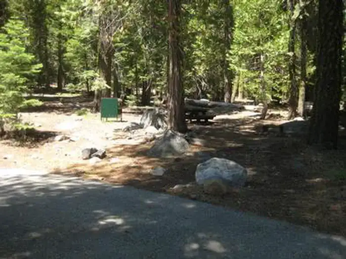 Camper-submitted photo at Lewis Campground near Norden, CA