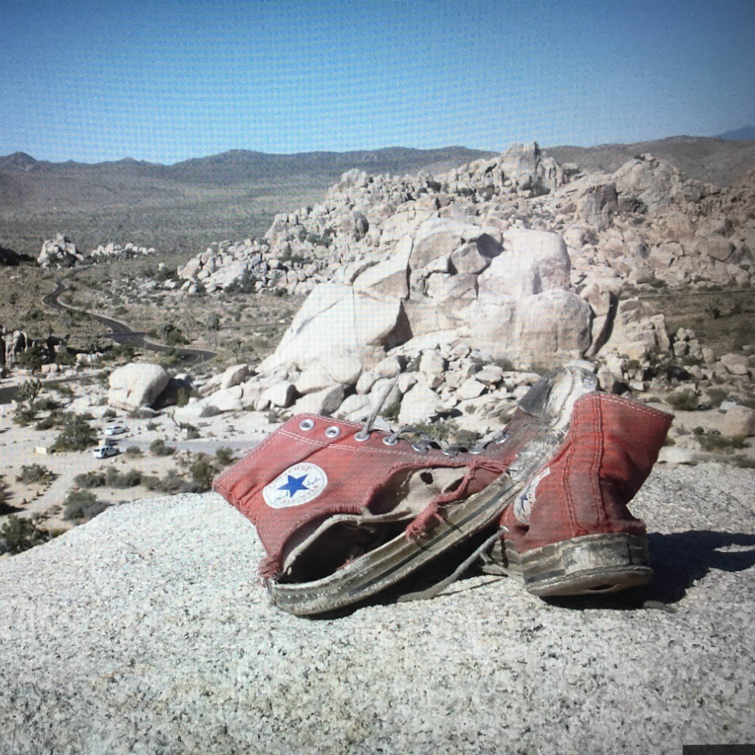 Jumbo Rocks Campground Camping | The Dyrt