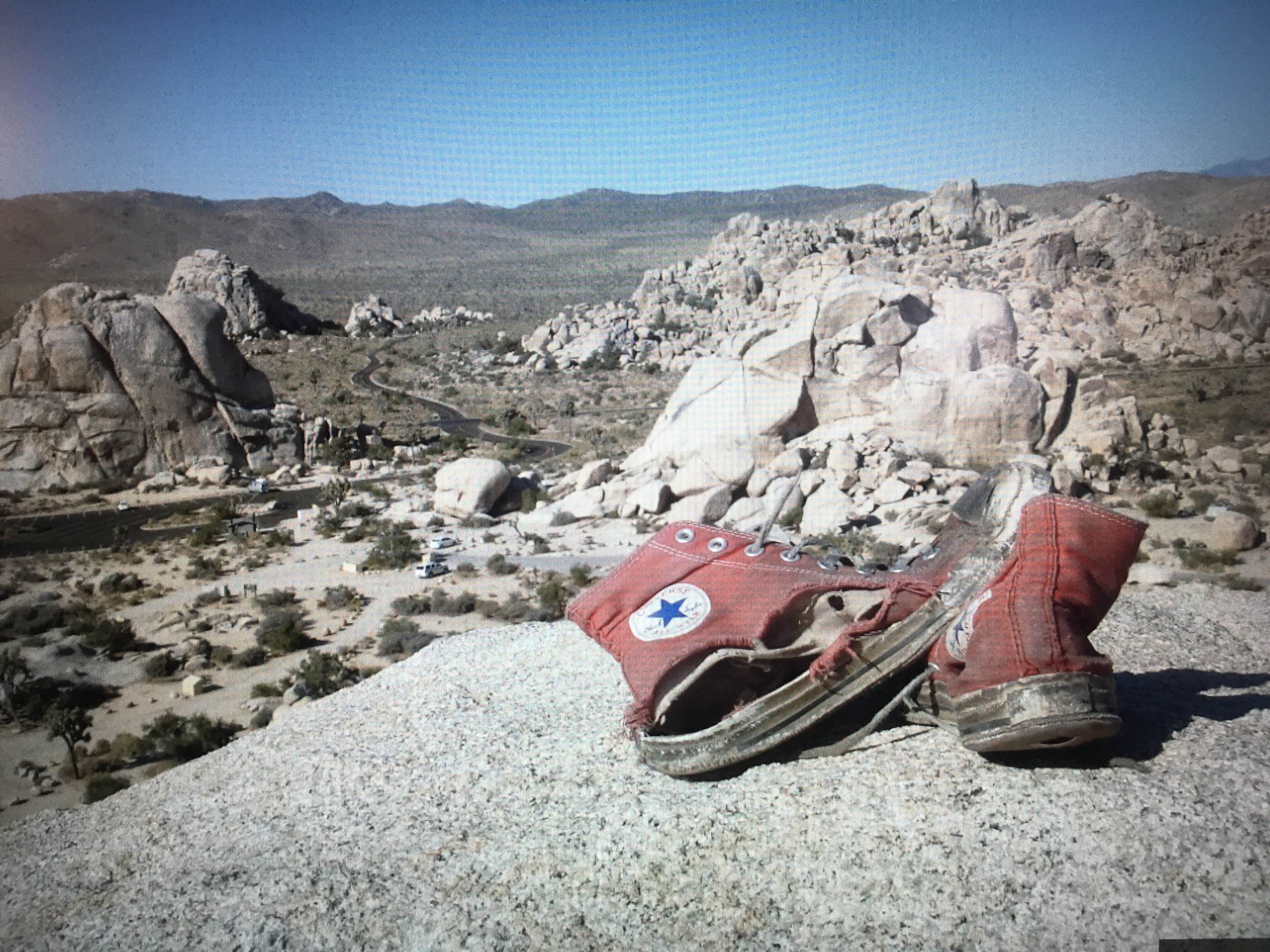 Camper submitted image from Jumbo Rocks Campground — Joshua Tree National Park - 5