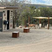 Review photo of Ramble at Mesa Verde by Albert H., June 11, 2026