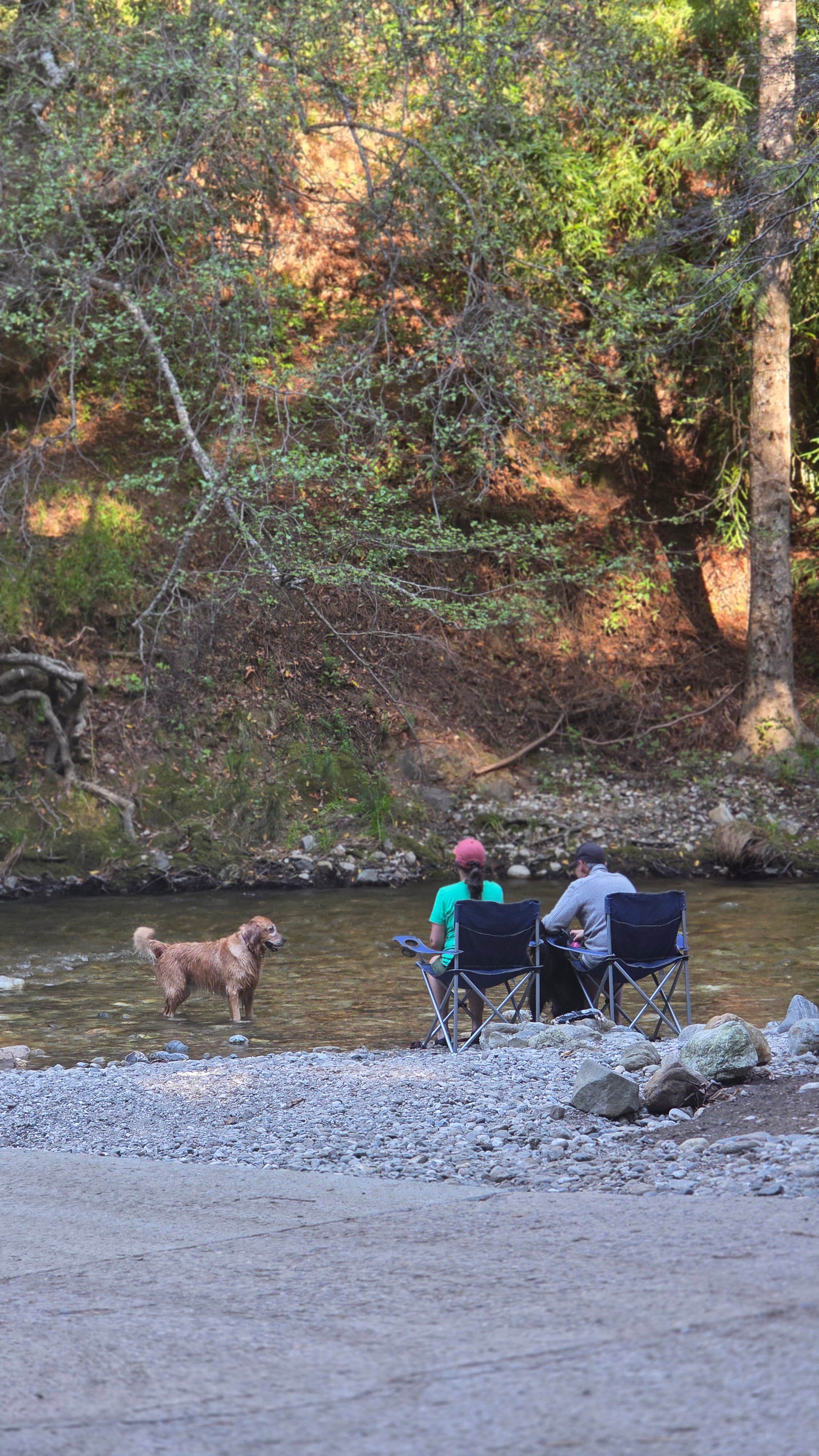 Mak M.'s photo of camping with pets at Riverside Campground & Cabins near Pebble Beach, CA