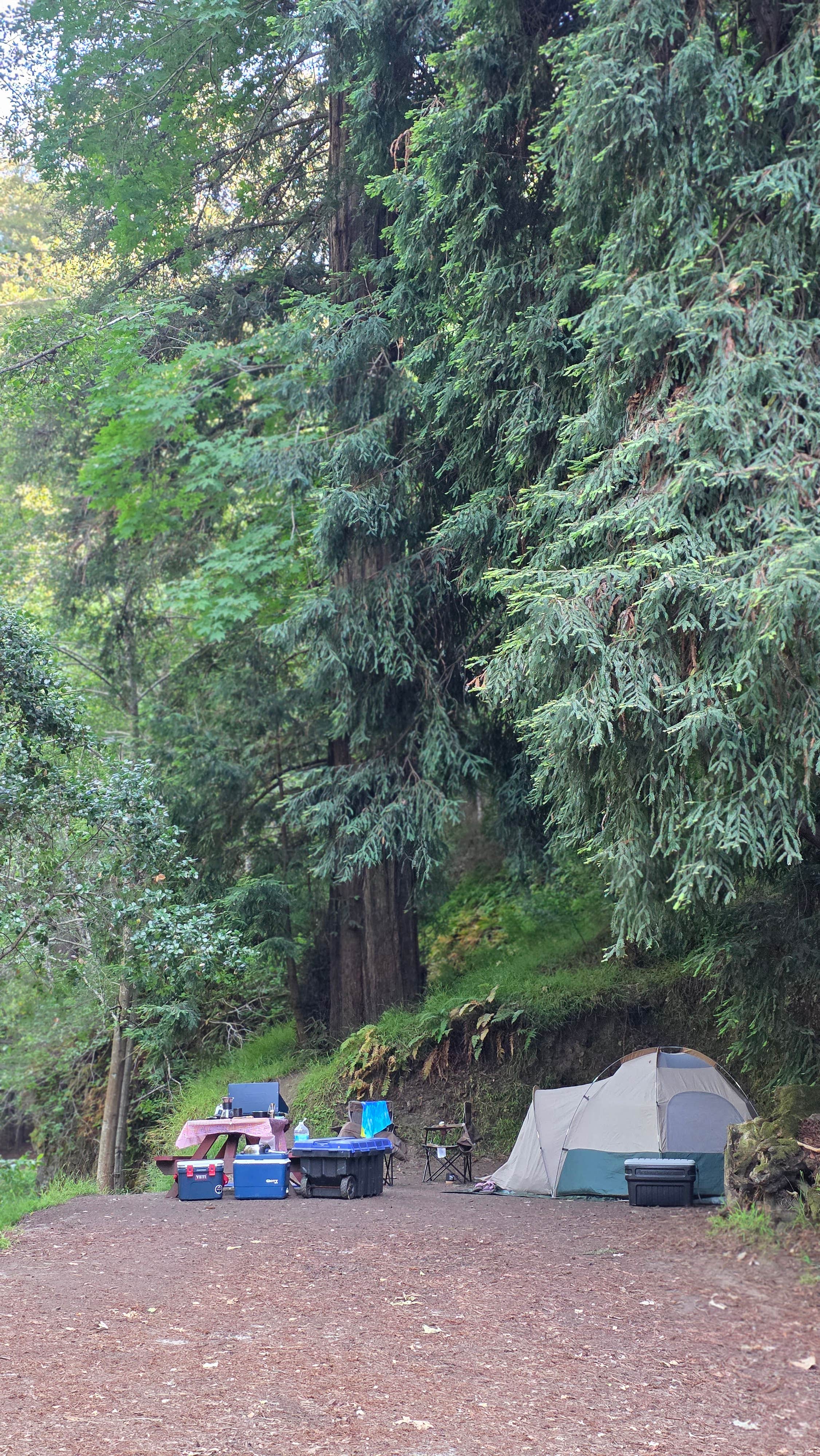 Mak M.'s photo at Riverside Campground & Cabins near Big Sur, CA